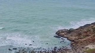 Show de baú de natação na praia com urso gordinho da China