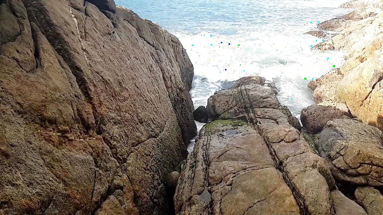 Alex Lima and Fire Wizard Got Together to Roll Paty Butt