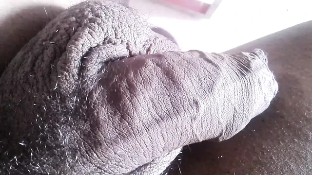 xHamster video 3