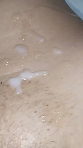 Ιογενή!! Το Sex Indonesia είναι ένας διεστραμμένος μαθητής σε συμβόλαιο. Βίντεο. Abg Ινδονησία | Κλιπ 3