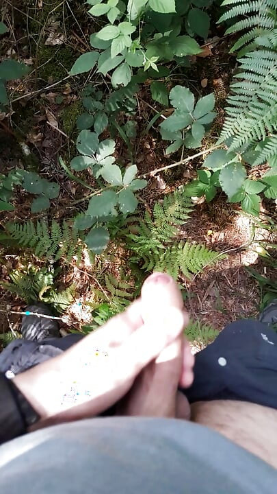 Quick jerk and cumshot in the woods