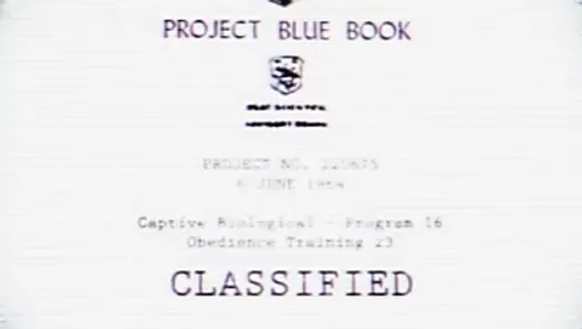 Синяя книга проекта