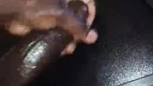 X hamster kafesi