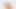 WildLife Game Adult Game Sex Review 18+