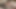 Two beautiful girls having sex in the museum - 3D Animation