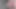 Talking dirty & stroking my hot cock & spraying my cum