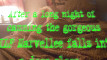 Pregled videozapisa