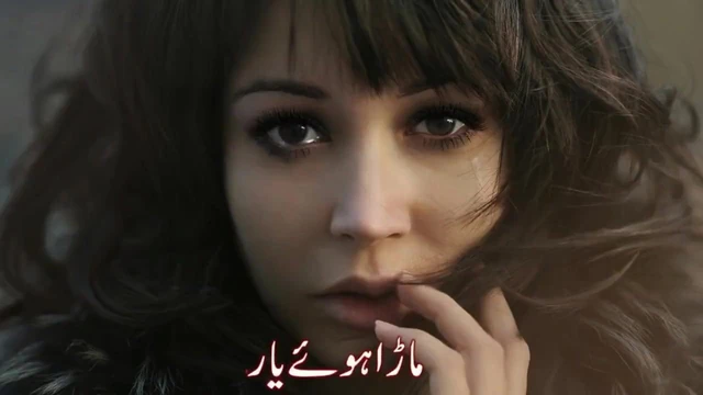 Sajna dy bary bura ni sochi