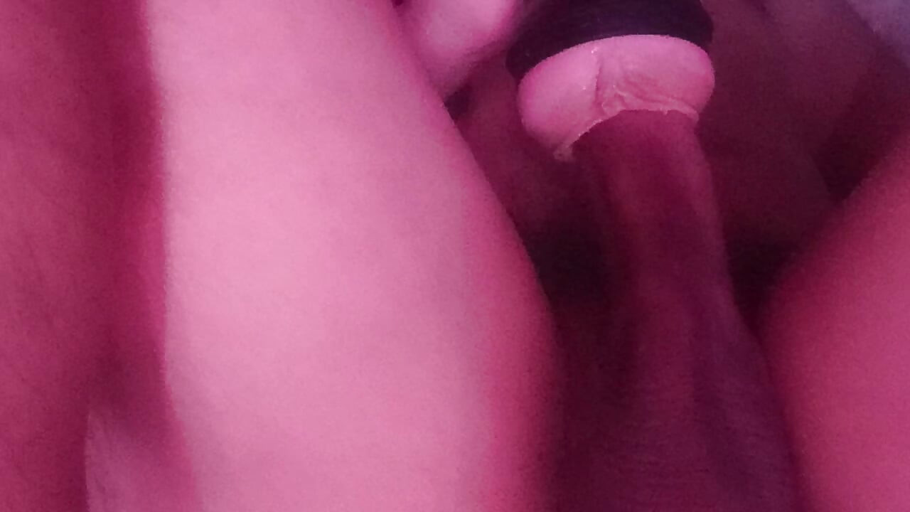 Warm My Milk Day 1648