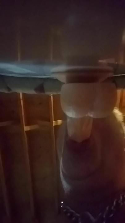 Sucking dildo