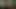 Büyük siyah horoz için Alman beyaz genç