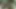 Super Rough Throatfucking Throatpie