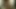 Rex mavi ve ben chatham