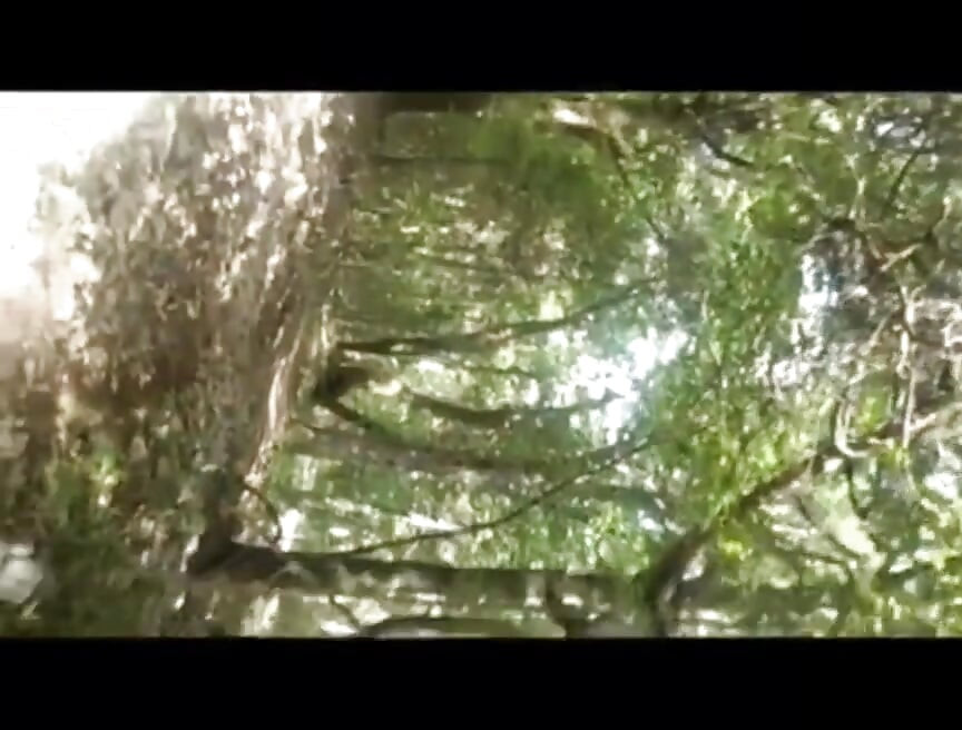 Outdoor pissing compilation
