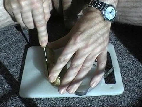 Ginger root urethra play