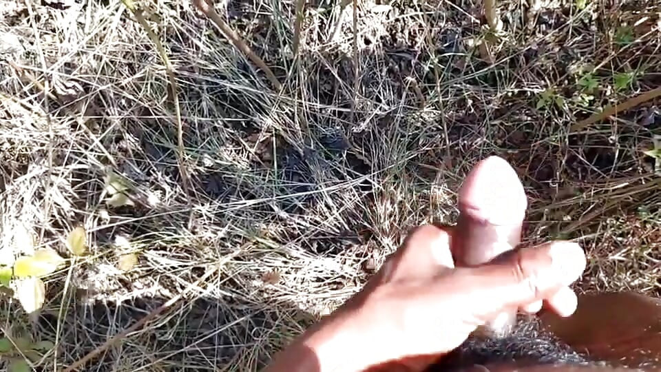 Desi indischer sex-dschungel ficken xxx video