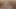 Pawg Edging Lucky Fan Ends in Disaster - Accidental Creampie!