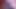 ルーツ