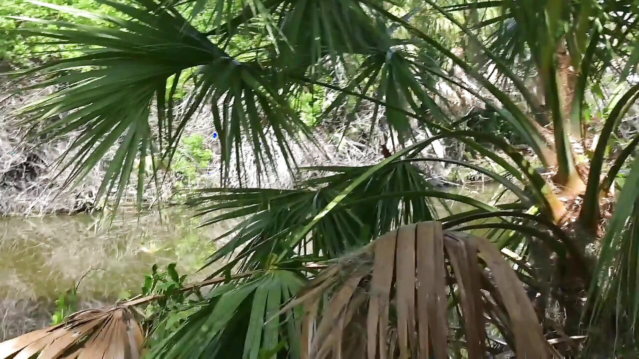 Bts Nature Walk dan Masturbasi di trail