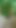 A guy naked in the wood