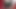 オランダJOI レッドライト グリーンライト
