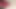 Precum Nahaufnahmespiel