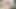 Nympho milf sara alakarga yapay penis sikikleri ve şeffaf sandalyede fışkırtıyor!