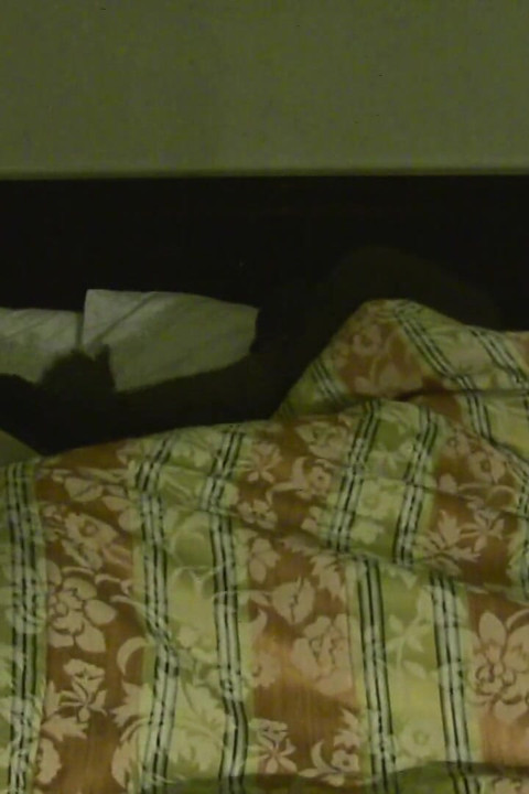 Gato + Pantera Negra