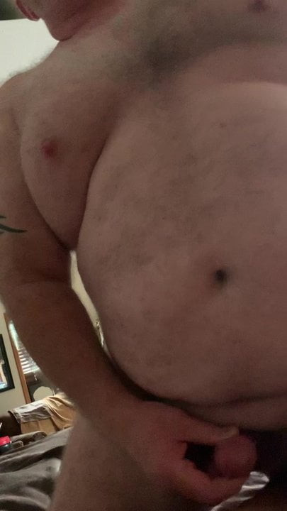 Bear shot