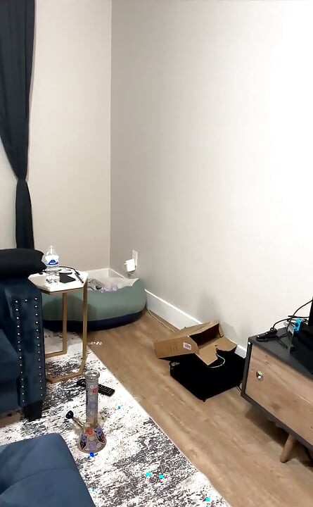 Jadynn en vivo