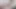 Cock Very Excited From Masturbation, Cum No Touching Hands