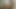 ven 11.mp4