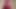 Red wank
