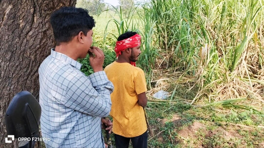 Trio indiano gay - sugarcane field movie la storia unica di un contadino in agricoltura e di un ragazzo della città motociclista - in hindi