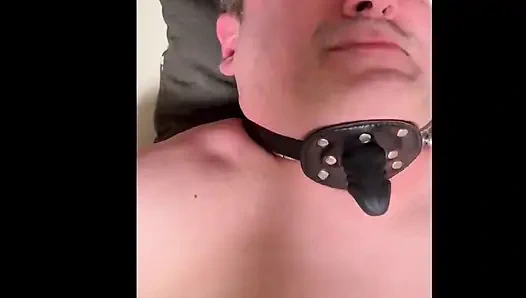 Domladymia - Slaveofm - Happy New Pain 2026 - Panjang Penuh