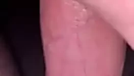 okşayarak büyük beyaz horoz