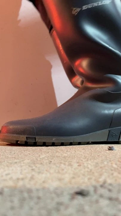 Dunlop wellies