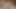2 guys fuck in pussy and cum in her mouth