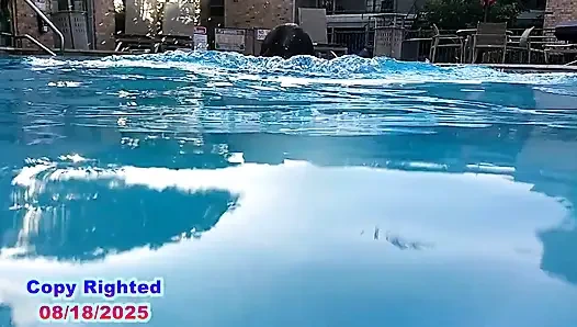 Мокрое дикое развлечение на солнце, полное видео