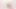 Kitchen Masturbation Vibrator Make Me Big Squirt on the Floor Daddlove