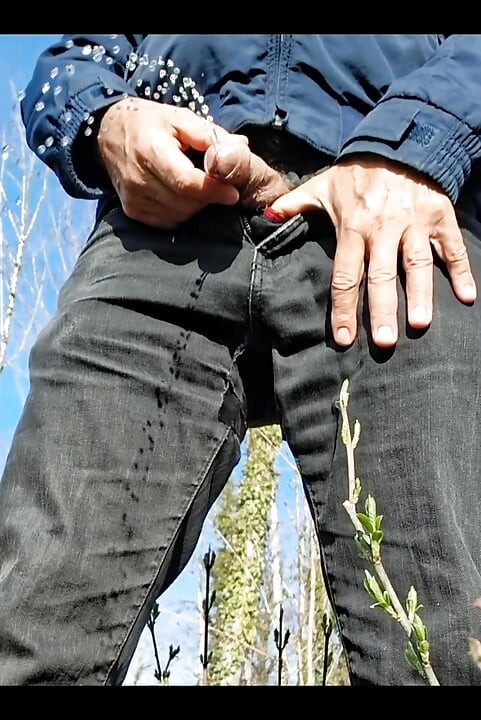Hot Wolf on an Early Springday