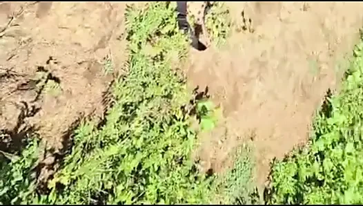 Amber lagi asik nyepong kontolku di cliffside