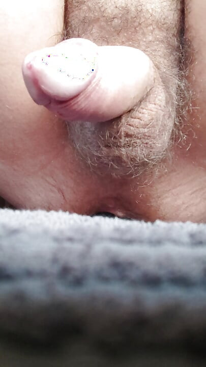 Butt plug and stiff cock