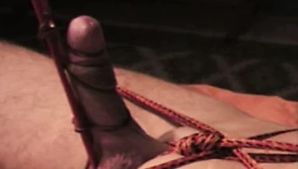 long sm session, swiss gay