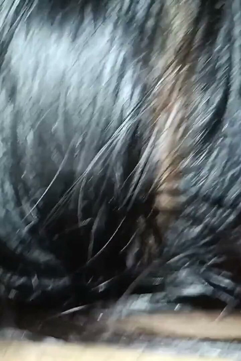 Friend Gives a Blowjob and Swallows