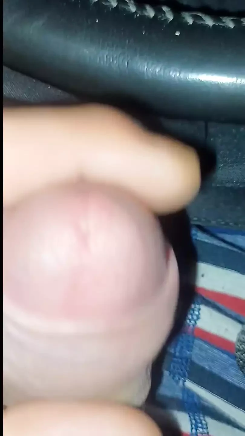 Zaustavljanje kamiona cumshot