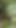 Captivating moment from "Desi bahu lifted her clothes in the outdoor jungle and put her finger in her pussy and showed her brother-in-law is yearning for sex by showing her brother-in-law my fat ass."