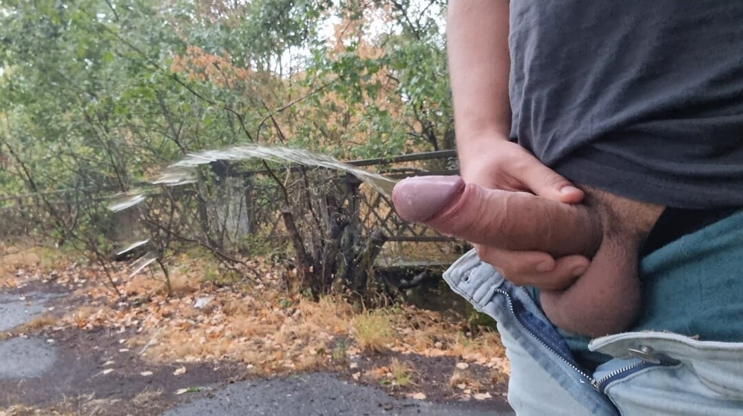 早上在森林裡撒尿。