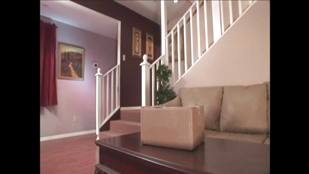 ביילי ברוקס המאהב הפרוע