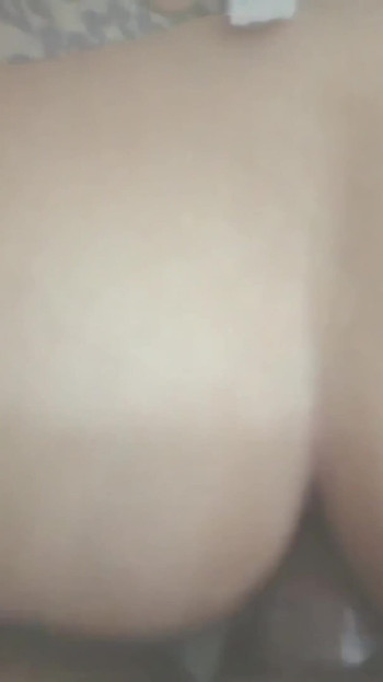 雄牛は見守りながら激しく動く